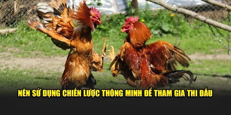 Nên sử dụng chiến lược thông minh để tham gia thi đấu