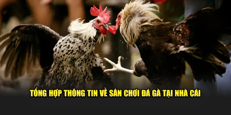 Tổng hợp thông tin về nền tảng giải trí thú vị, hot hit 